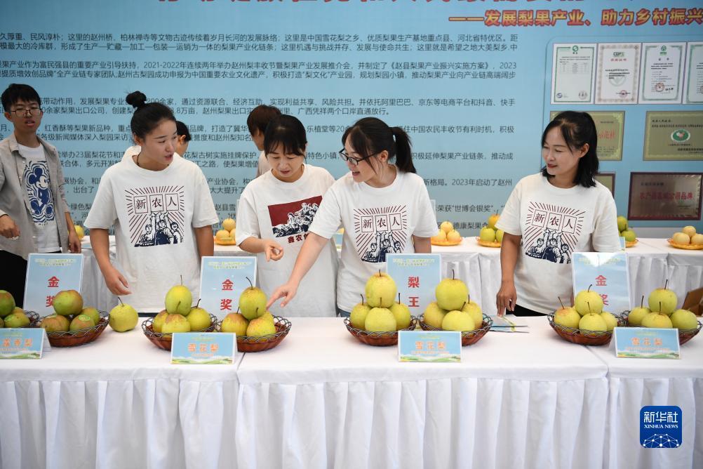ag资源网官网